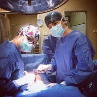 Best rhinoplasty surgeon in the world picture